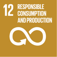 12.RESPONSIBLE CONSUMPTION AND PRODUCTION